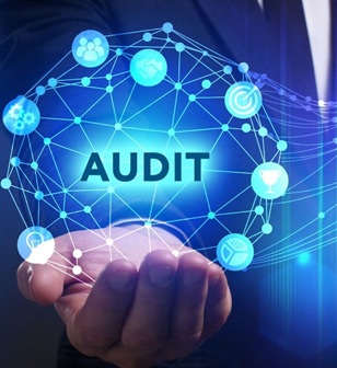 Audit Services & Business